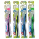 Toothbrush 1*3 with a clear pure cover